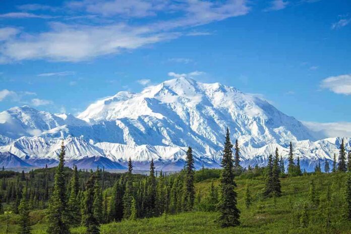 shutterstock_1068590996 (1)