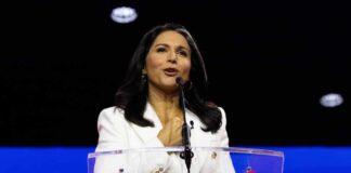 Tulsi Gabbard