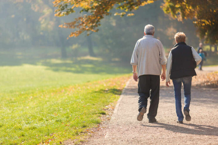 shutterstock_338638163.jpg featured image Two people walking together on a park path.