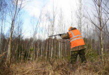 Hunter in high-visibility vest