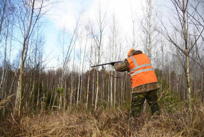 Hunter in high-visibility vest