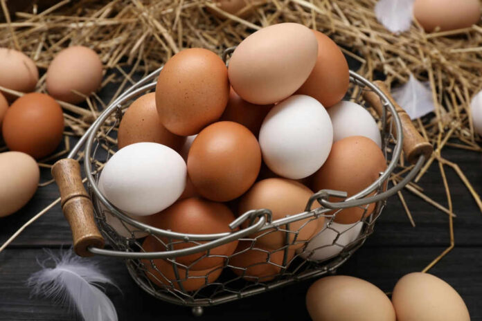 Basket of brown and white eggs on straw