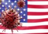 Illustration of virus particles in front of the American flag