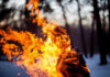 A silhouette of a person engulfed in flames in a forest setting