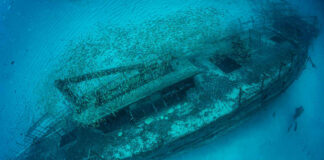 Underwater shipwreck with divers and school of fish.