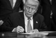 President Donald Trump