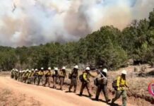 Three firefighters die battling huge wildfires on Colorado-Utah border