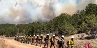 Three firefighters die battling huge wildfires on Colorado-Utah border