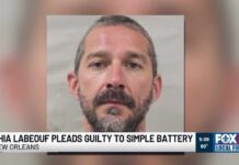 Shia LaBeouf pleads guilty to simple battery for punching bargoers during Mardi Gras