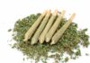 Five rolled cannabis joints on a bed of loose marijuana