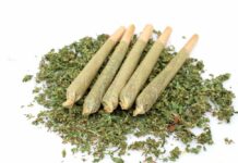 Five rolled cannabis joints on a bed of loose marijuana