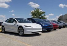 A lineup of Tesla electric vehicles parked outdoors under a blue sky