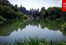 Deadly Mist Haunts Harlem Central Park Visitors Warned As NYC Faces Legionnaire’s Outbreak