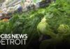 Michigan officials narrowing in on potential source of cyclosporiasis outbreak