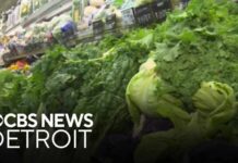 Parasite-Laced Salads? Illness Explodes Across State Michigan officials narrowing in on potential source of cyclosporiasis outbreak