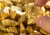 Hand holding a rough gold nugget among scattered gold pieces