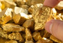 Hand holding a rough gold nugget among scattered gold pieces