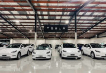 White Tesla cars displayed in showroom with Tesla sign.