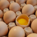 Eggs in carton one cracked revealing yolk