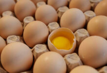 19 Million Eggs Gone – Stunning Details Eggs in carton one cracked revealing yolk