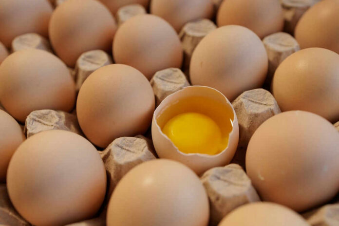 Eggs in carton one cracked revealing yolk