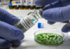 A laboratory technician holding a vial labeled 'Listeria monocytogenes' above a petri dish with green culture