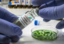 A laboratory technician holding a vial labeled 'Listeria monocytogenes' above a petri dish with green culture