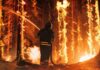 Firestorm Slams Spokane — Whole Blocks Vanish Firefighter battling a raging forest wildfire at night