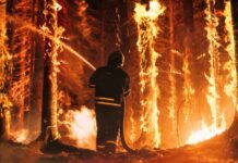 Firefighter battling a raging forest wildfire at night