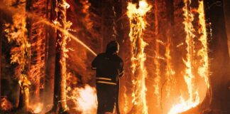 Firefighter battling a raging forest wildfire at night