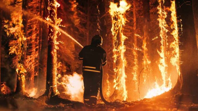 Firefighter battling a raging forest wildfire at night