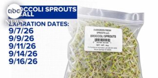 New salmonella outbreak linked to broccoli sprouts