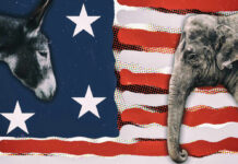 Donkey and elephant on American flag background.
