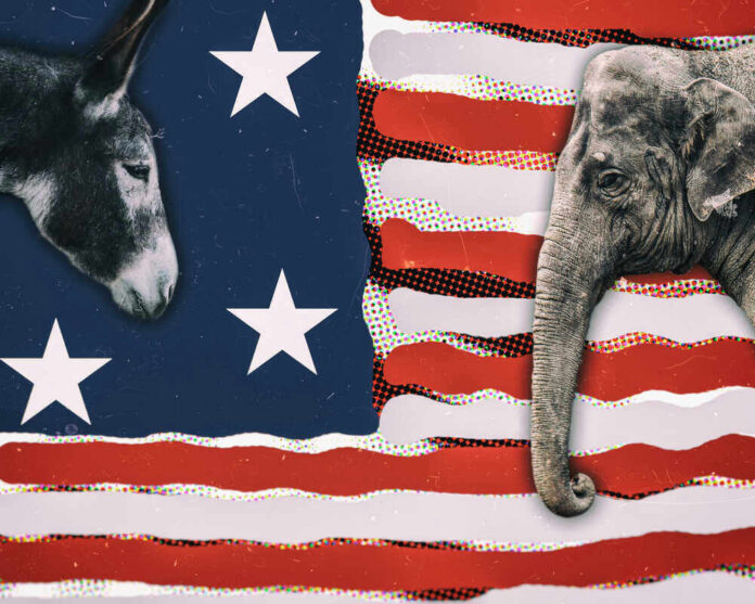 Donkey and elephant on American flag background.