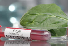 Test tube labeled E. coli next to a spinach leaf in a petri dish