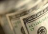 Million-Dollar Bigfoot Bounty Announced – DETAILS! Close-up of a stack of hundred dollar bills