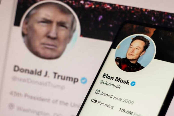 Donald Trump and Elon Musk Twitter profiles displayed.