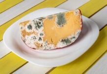Moldy cheese wedge on a white plate